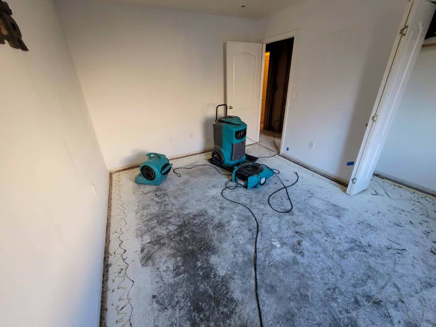 Best Water damage restoration near me  in Lewisville, TX