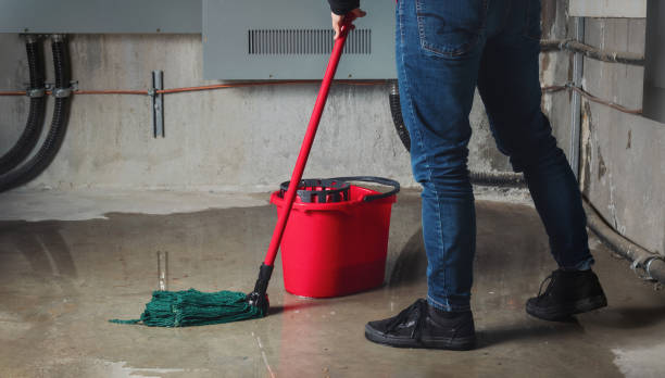 Best Fire Damage Restoration  in Lewisville, TX