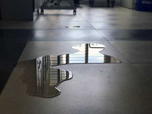 Best 24/7 water damage repair  in Lewisville, TX