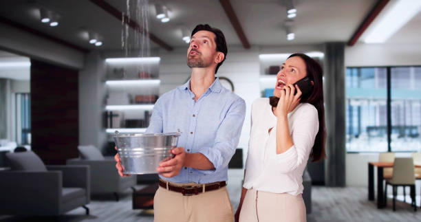 Best Ceiling water damage repair  in Lewisville, TX